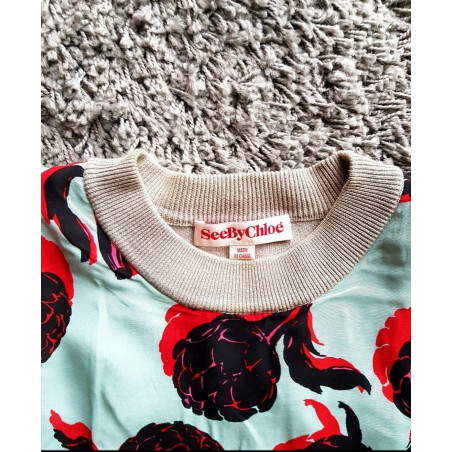 Sweatshirt See by Chloe, size S. Sehr guter Zustand. 