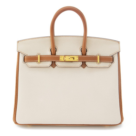 Birkin Bag 25 Togo Vert Gris