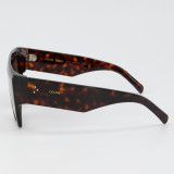 Sunglasses CL400921- NEW