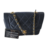 Diana Flap Bag