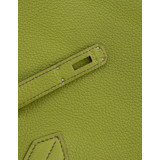 Birkin Bag 30 Togo Vert Anis 2003